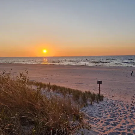 Przy Plazy Shellter Lejlighed *