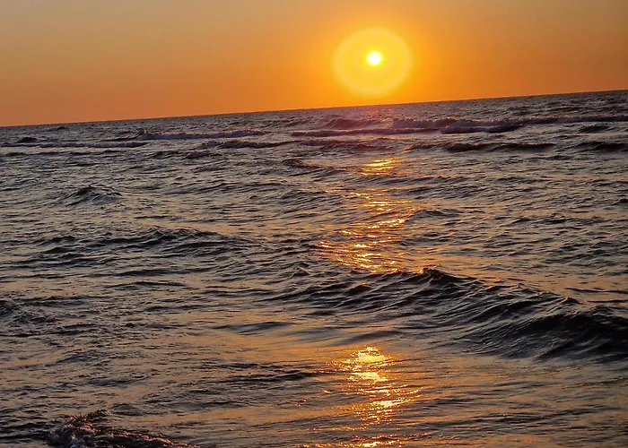 Przy Plazy Shellter Lejlighed *