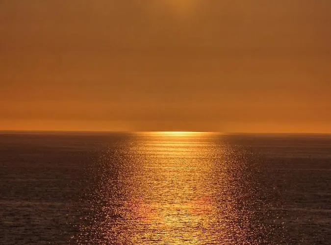 Przy Plazy Shellter Lejlighed *