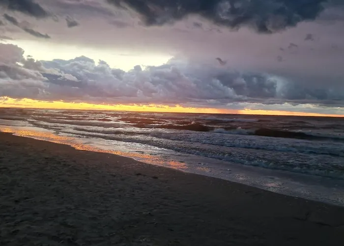 Przy Plazy Shellter * Rogowo (Gryfice)